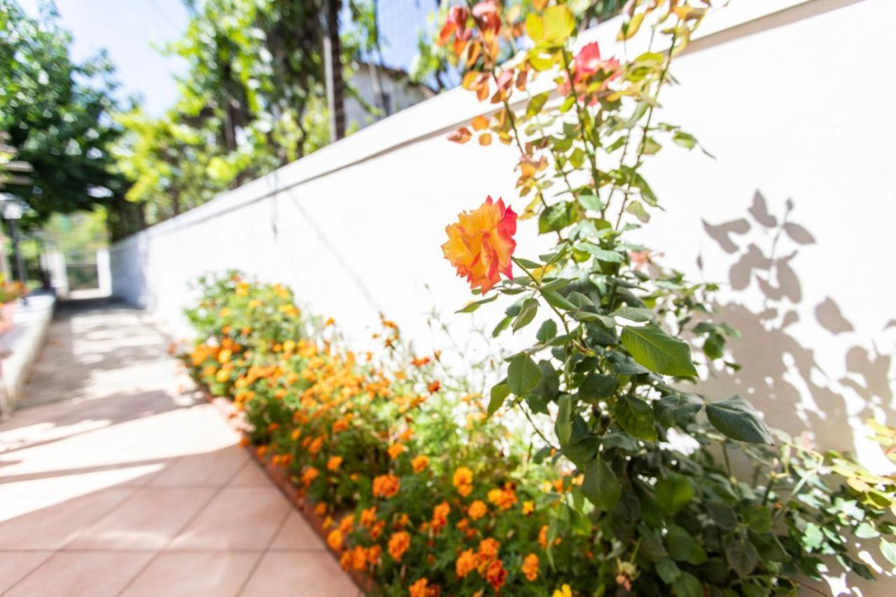 Sant'Anna Bed & Breakfast Agerola Exterior photo